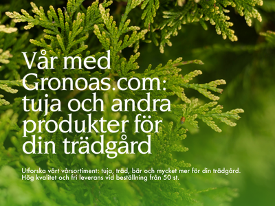 Vårens val: tuja och andra produkter från Gronoas.com för din drömträdgård